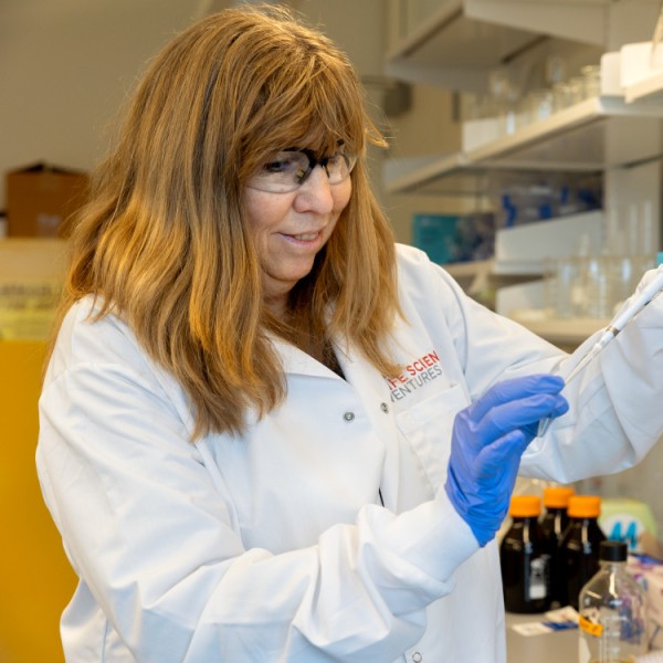 Woman works in the lab