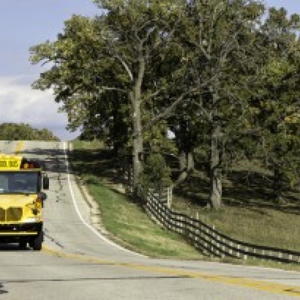 school bus driving down a road