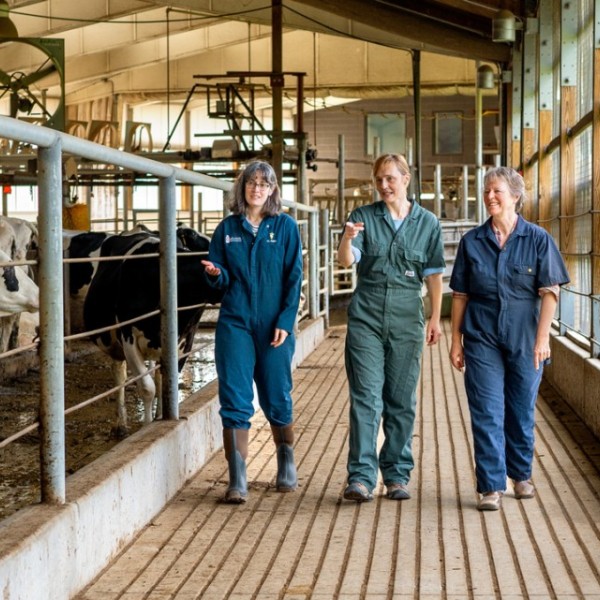 researchers walk through a barn