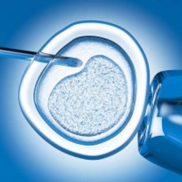 Close up of IVF treatment in lab
