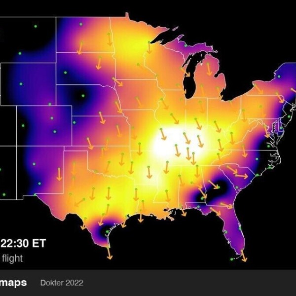 Radar indicated bird migration on September 25, 2025 from BirdCast. 