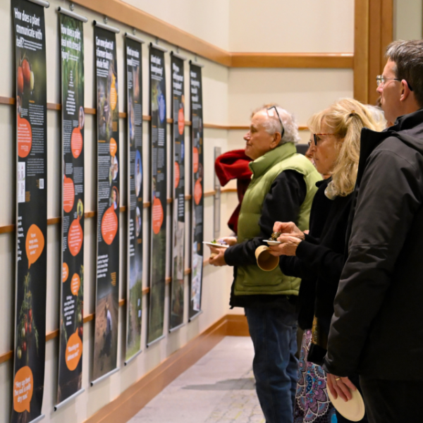 People looking at wall displays at the opening of “Hello, Human! The Emerging Science of Plant Communication and Smart Agriculture” at Cornell’s Mann Library 