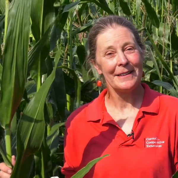 Margaret Smith in corn field