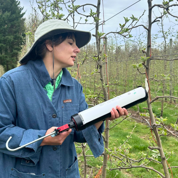 Monique Rivera working in the field.