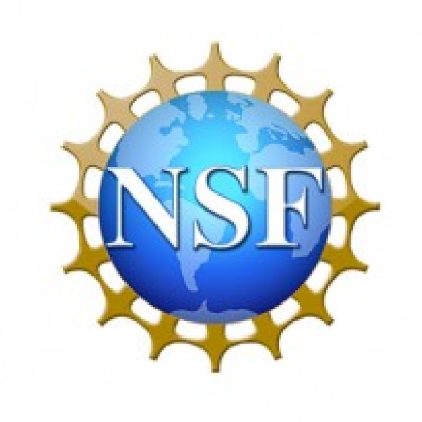NSF logo
