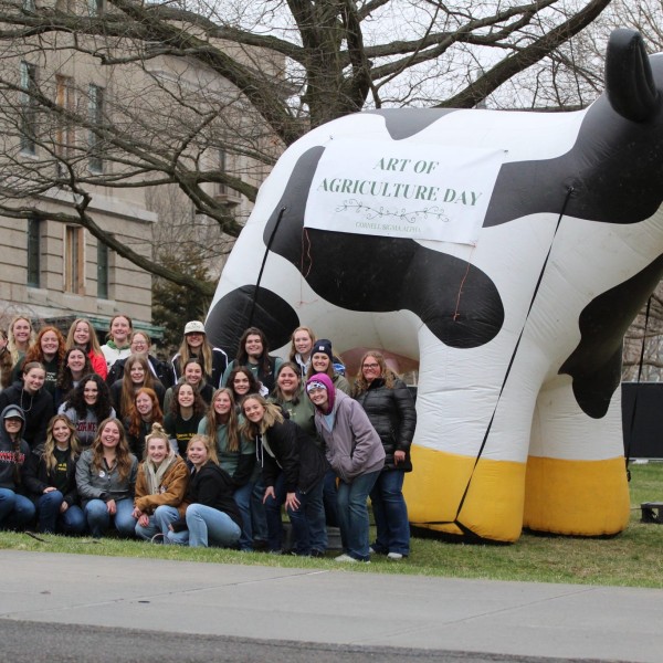 Students posing with an inflatable cow