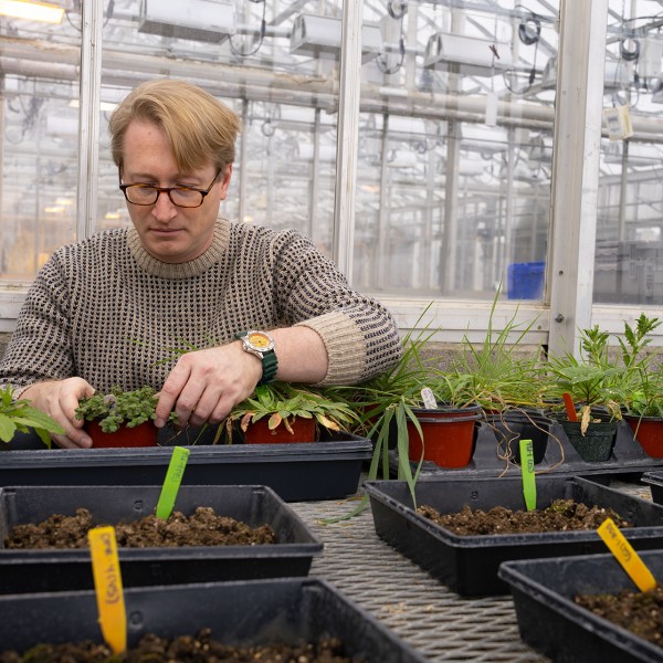 Scott Morris with plants in a greenhouse
