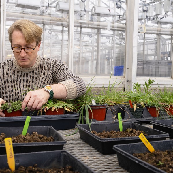 Scott Morris with plants in a greenhouse