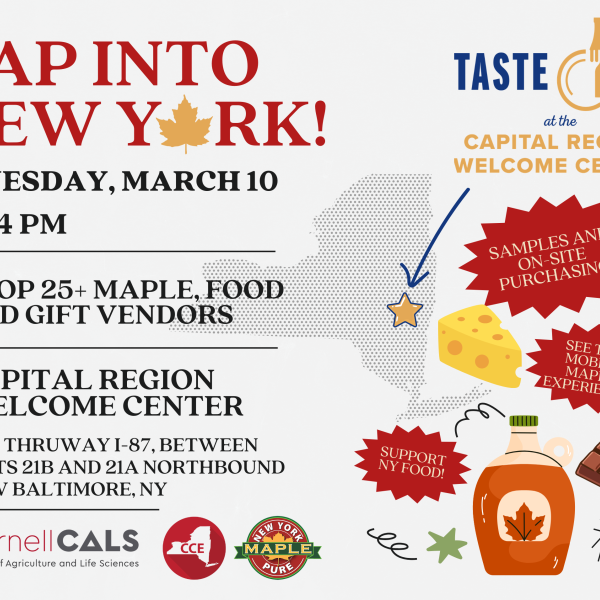 Tap Into New York graphic