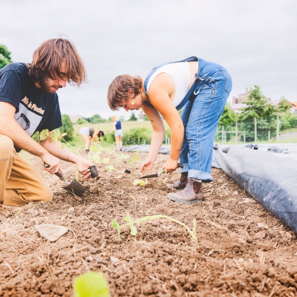 students dig in the soil of a garden