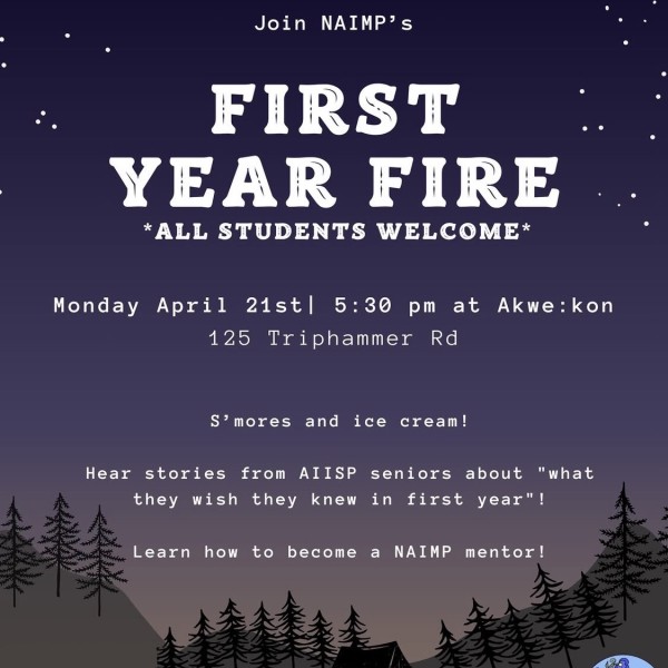 A poster with a campfire and starry sky.