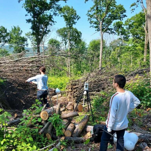 Slashwall Cranmer Han