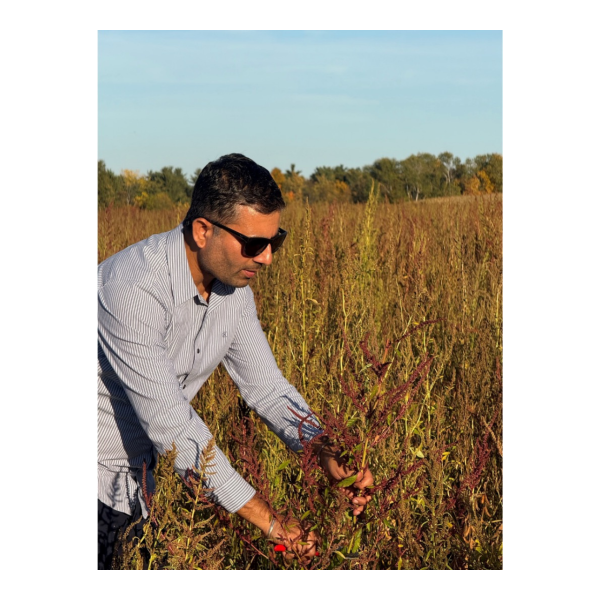 Vipan Kumar in a water hemp field