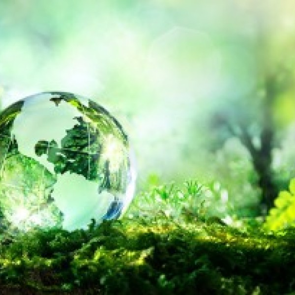 illustration of a glass earth on a forest floor.