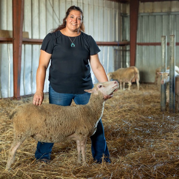 a woman holds a sheep in a show stance