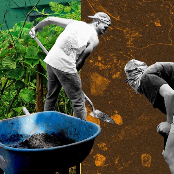 Illustration of people gardening