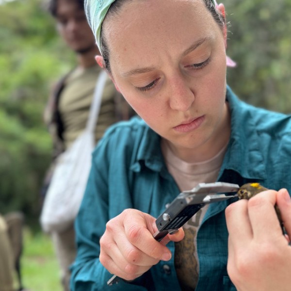  Leah Crenshaw, pictured here, will continue research that examines how surrounding landscapes influence bird ecology in shade‑grown coffee farms.