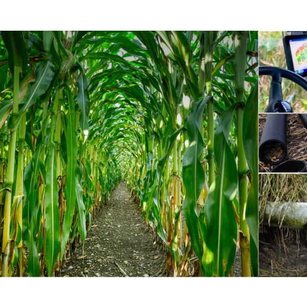 A photo of a corn field row (left), a yield monitor (top), and tile drainage (middle, bottom).