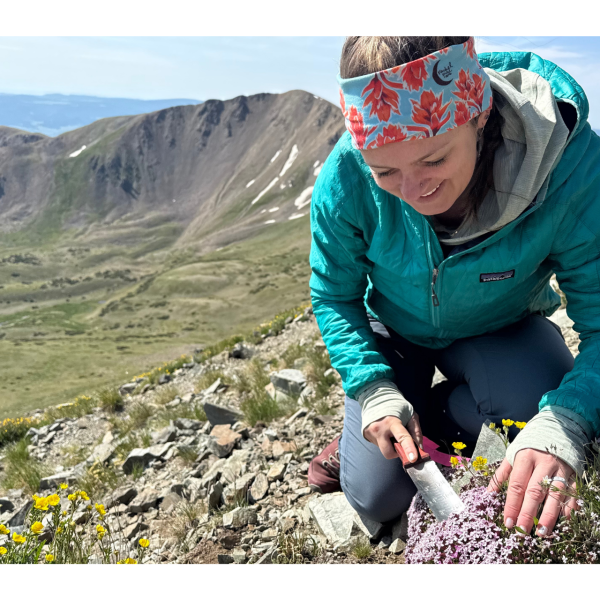 Hannah Marx collecting alpine plants in the field. Photo provided.