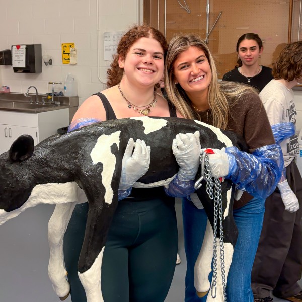 two women hold a manequin of a newborn calf