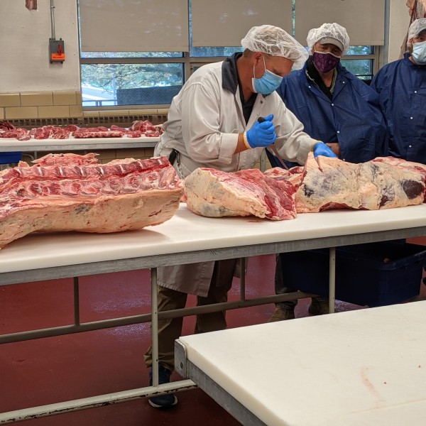 A person in protective clothing demonstrates meat cutting on large beef sections while others observe, all wearing masks and hairnets in a processing room.