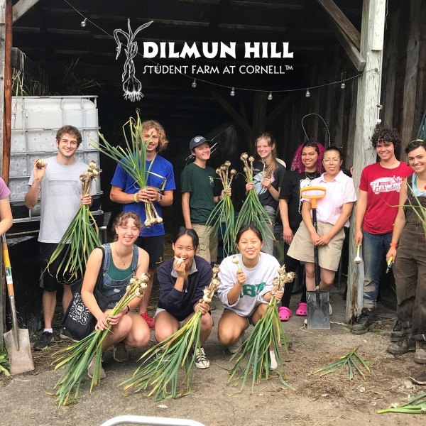 A diverse group of students with fresh garlic