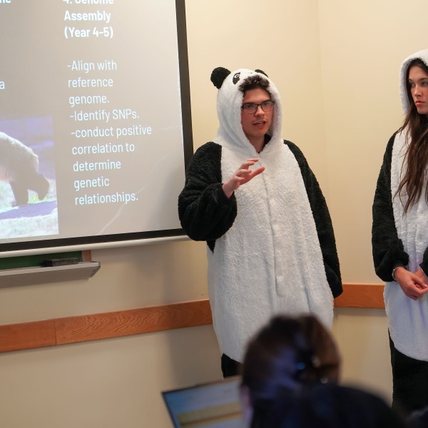a man and a woman dressed in panda onsies stand by slide projection on the genetics of pandas