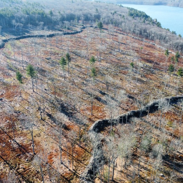 Aerial view of slash walls in Nepaugh