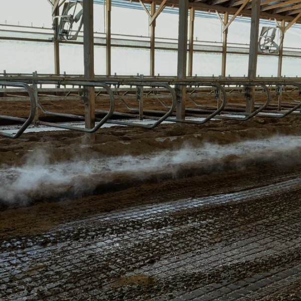 Solids bedding on a dairy farms