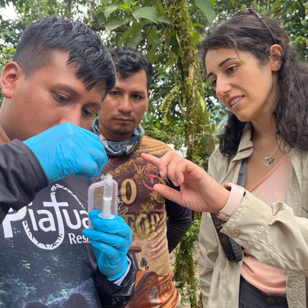 Cornell doctoral student Isabella Marie Errigo and Indigenous partners collect eDNA samples from a remote river in the Ecuadorian Amazon, helping communities assess aquatic biodiversity and ecosystem health across a range of environmental conditions.