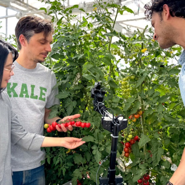 Lirong Xiang/Provided Cornell researchers stand with an autonomous biosecurity system in a tomato greenhouse. With support from a 2026 Academic Venture Fund, they will develop robotic and diagnostic technologies to improve early detection of plant diseases and strengthen climate-resilient greenhouse agriculture.