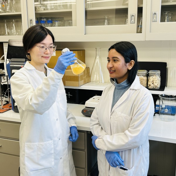 Assistant professor Ke Wang and postdoctoral associate Krishna Sahoo