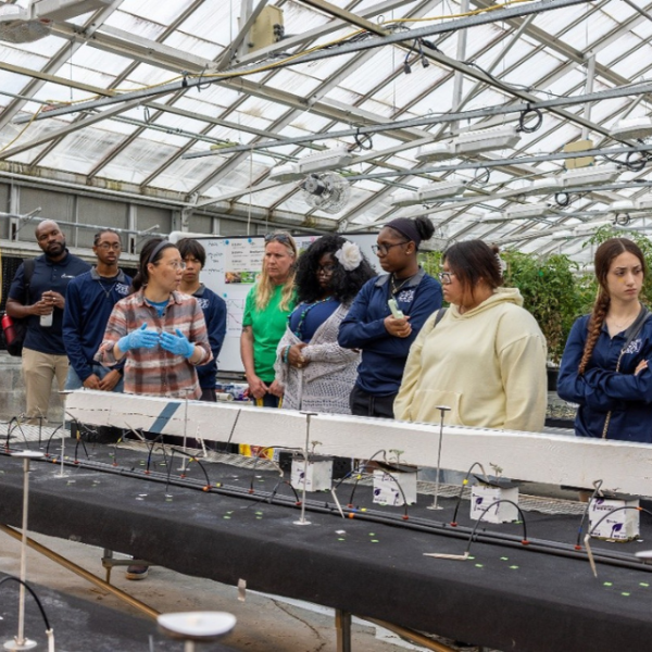 Students at the Center for Research on Programmable Plant Systems