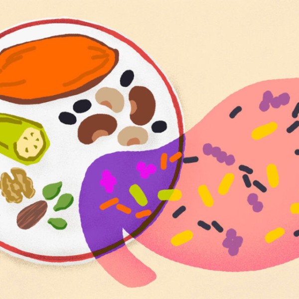 Illustration of a plate of food on a table with an image of an intestine overlapping