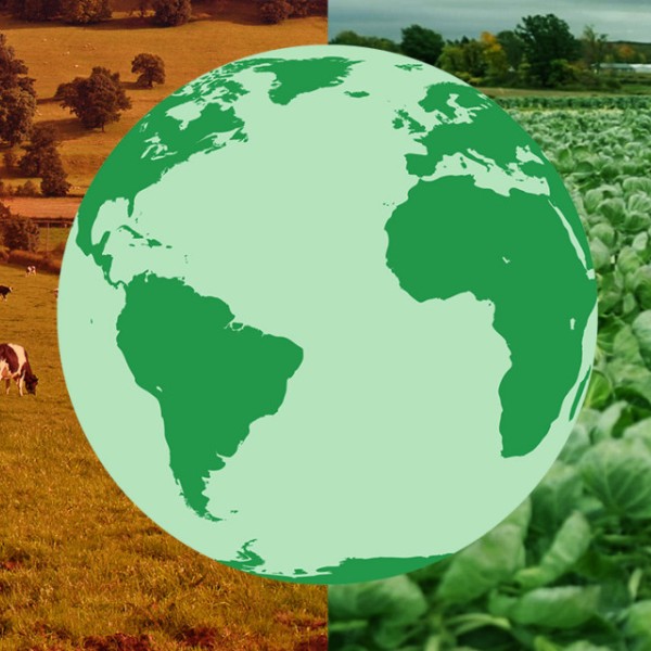 Illustration of the Earth in green with photo of cows grazing on the left side and crops on the right side