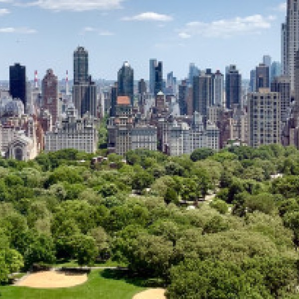 NYC skyline from central park