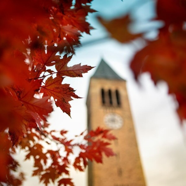 image of clock tower with leaves in forefront