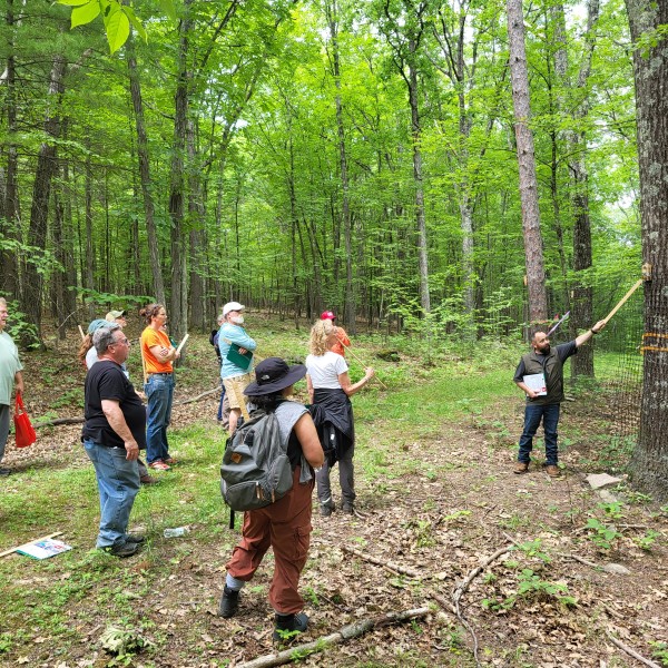 MFO volunteers learn some of the finer points to assess tree health and quality from MFO Regional Director Shane Stevens of CCE Columbia-Greene. This training at the Siuslaw Model Forest also allowed the volunteers to learn about deer fencing as a way to reduce deer impacts.