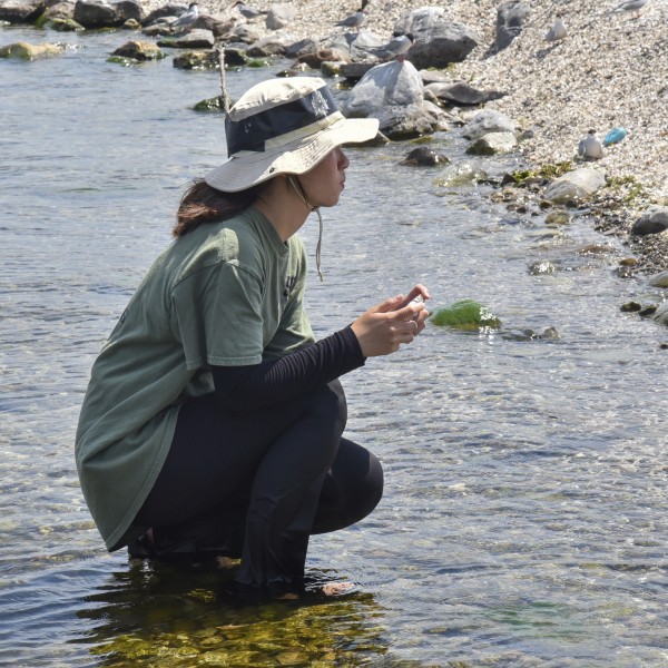 person kneeling in shallow water photographing birds. Photo credit Paul Treadwell
