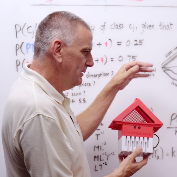 A man with gray hair stands in front of a whiteboard, gesturing as he speaks. In his hand, he holds a small, house-shaped device labeled "FARMSENSE," featuring a red mesh roof and a white slatted base. The whiteboard behind him is covered in handwritten notes, including probability equations, dimensional analysis formulas, and a labeled diagram of an insect wing.