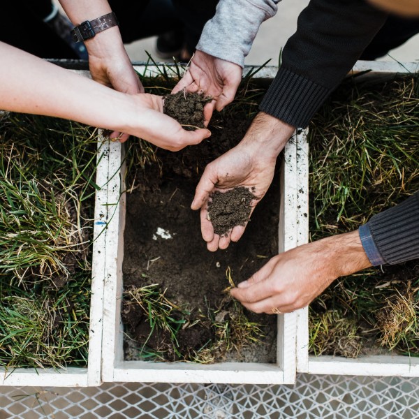 Soil Health