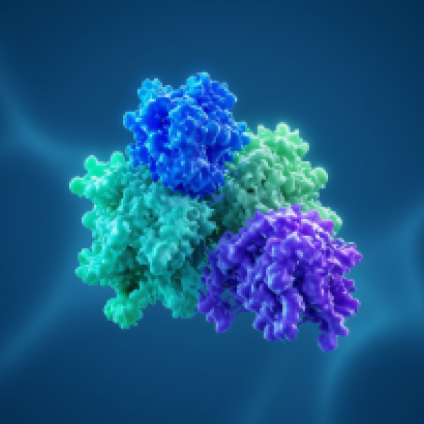 Illustration of proteins 