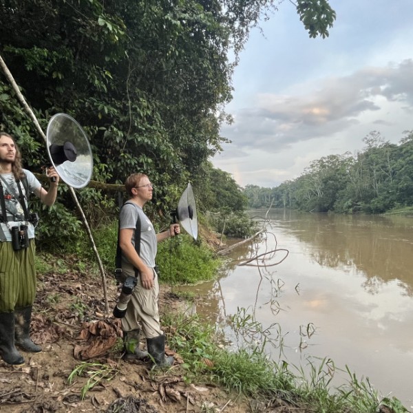 Researchers in the Ecuadorian Amazon use AI-powered acoustic identification to monitor birds as part of a seed grant-funded project.