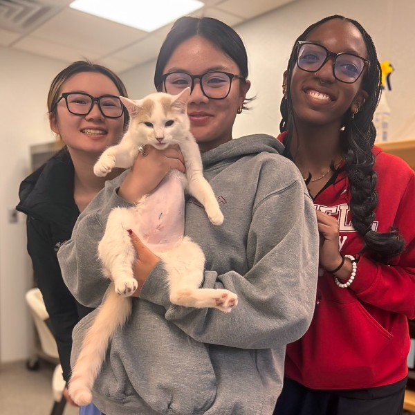 three women stand together while one of them holds a cat with a shaved belly