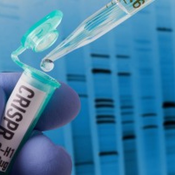 gene editing 