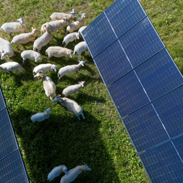 A solar farm in Lansing, New York.