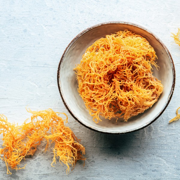 Edible sea moss
