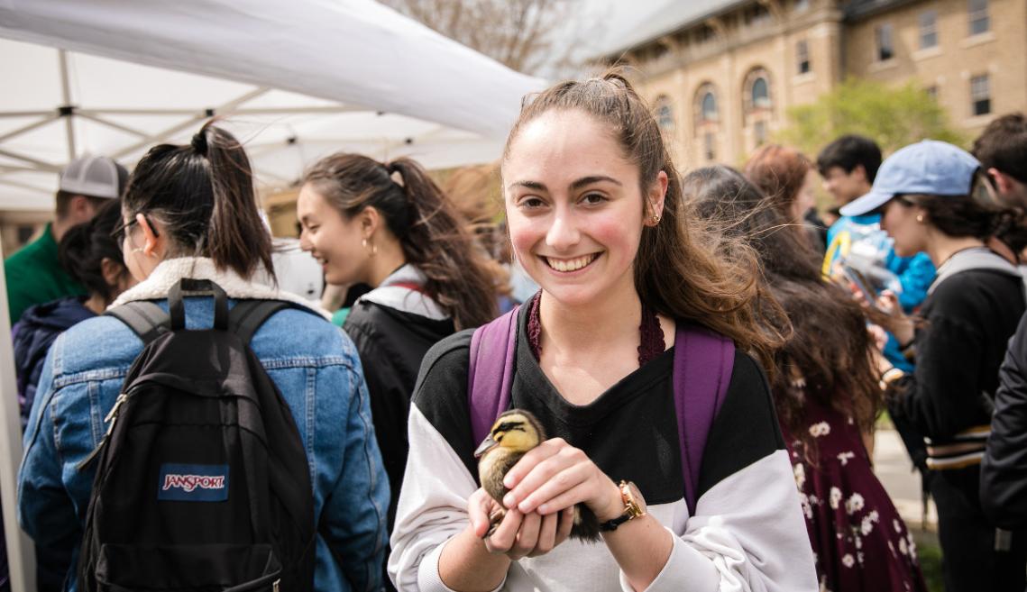 A female student holds a baby duckling outside in front of a tent
