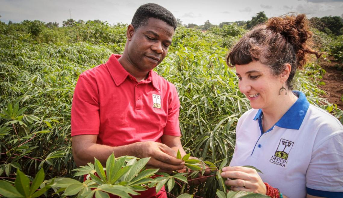 A man and woman stand in a agriculture field and examine plants