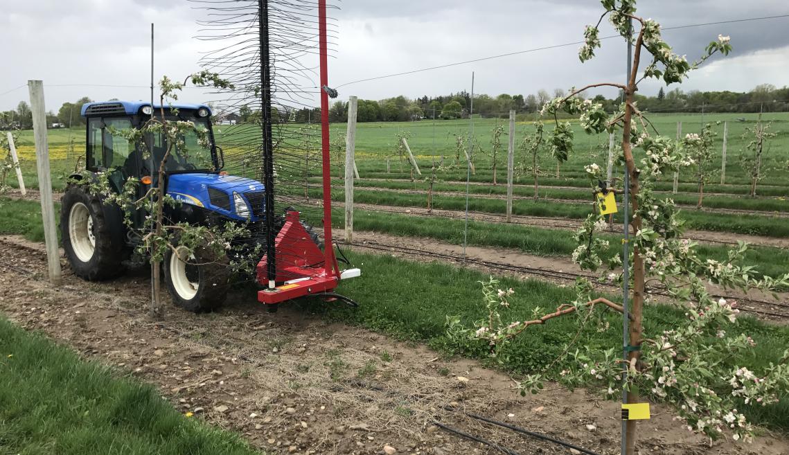 A tractor in a field